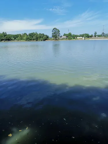 一位钓鱼人正在水库边抛竿钓草鱼